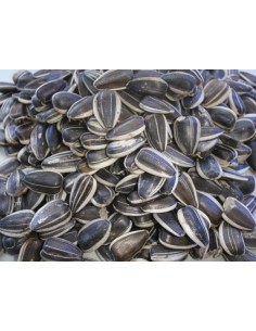 PIPAS GIRASOL ARGENTINAS 20 KG.