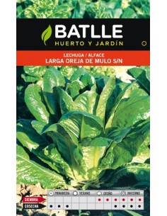 LECHUGA OREJA MULO 10GR.