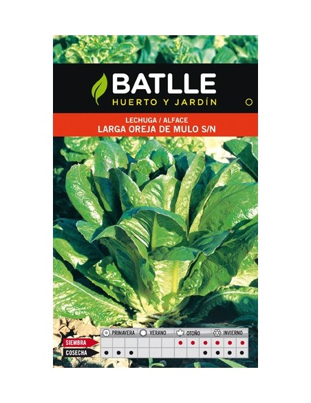 LECHUGA OREJA MULO 10GR.