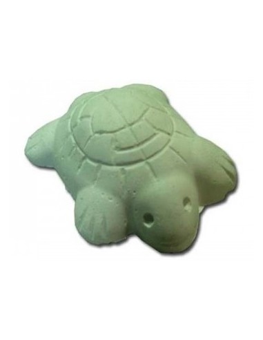 CALCIO TORTUGAS