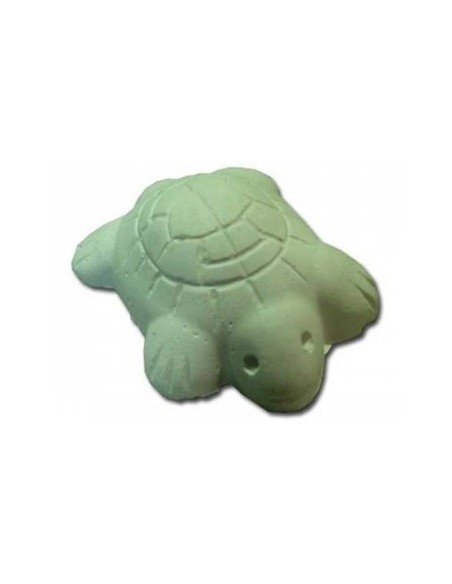 CALCIO TORTUGAS