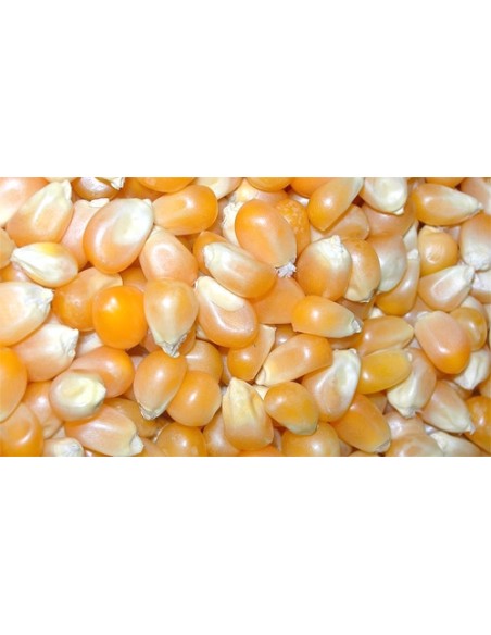 MAIZ 5 KG. PRODAC