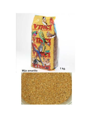 MIJO VINCI 5 KG. -3-
