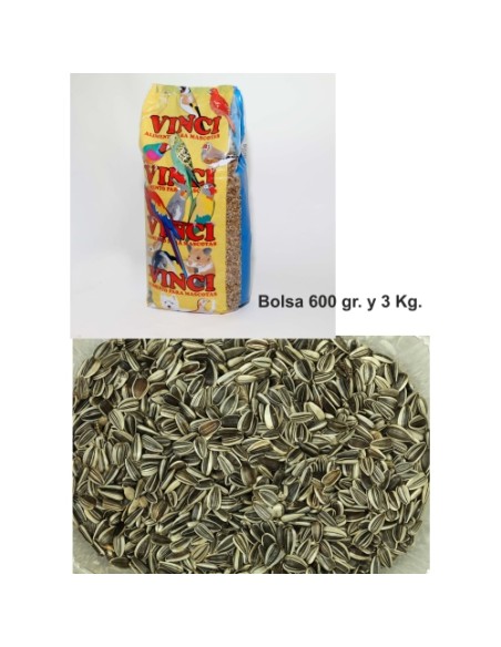 PIPAS IREGUI VINCI 15 KG.