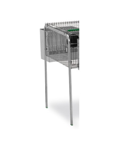 PATA LIMA 1 PISO
