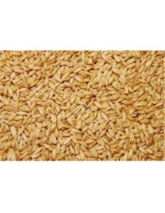 AVENA PELADA VINCI 25 KG.