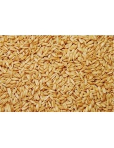 AVENA PELADA VINCI 25 KG.