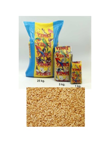AVENA PELADA VINCI 25 KG.