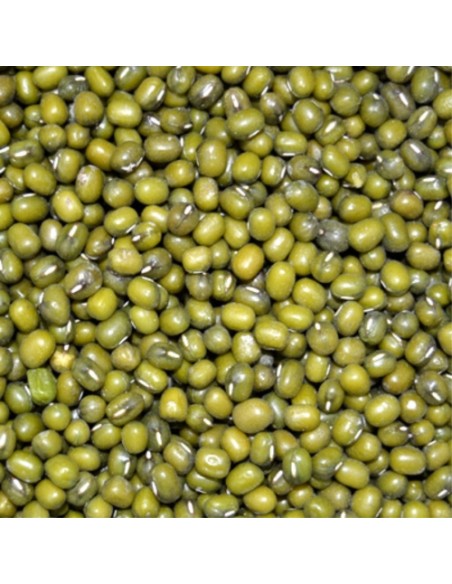 SOJA VERDE 5 KG. KATJANG SOJA VERDE 5 KG. KATJANG