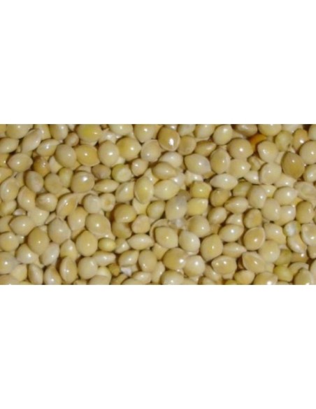 MIJO BLANCO 5 KG. PRODAC
