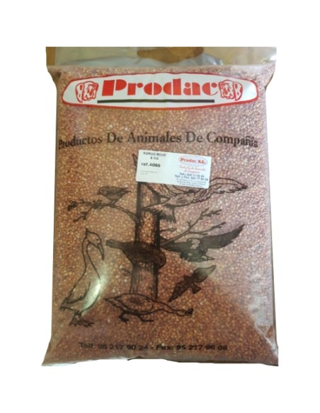 SORGO ROJO 5 KG.