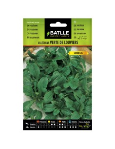 VALERIANA VERTE DE LOUVIERS (CANONIGOS)