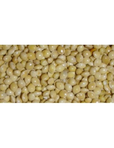 MIJO BLANCO 25 KG.