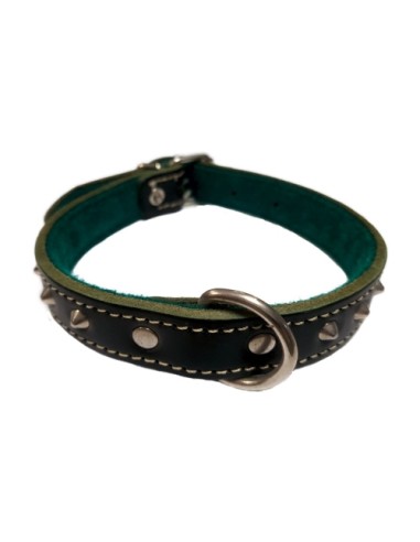 COLLAR C/ADORNO 20X450 VERDE