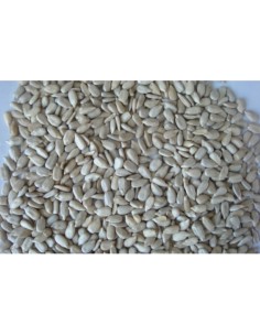 PIPAS PELADAS 4 KG.PRODAC