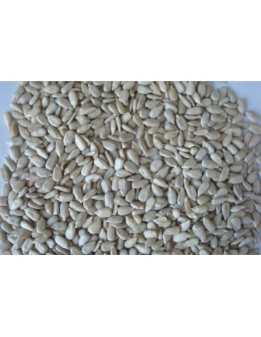 PIPAS PELADAS 4 KG.PRODAC
