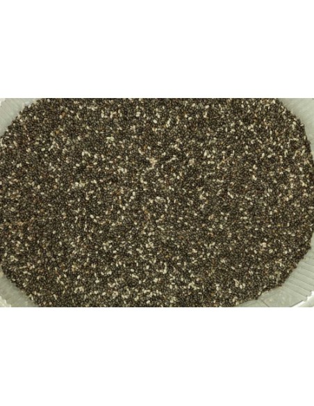 CHIA (SALVIA HISPANICA) CUBO 3 KG.