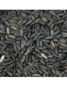 PIPAS NEGRAS 2,5 KG. PRODAC