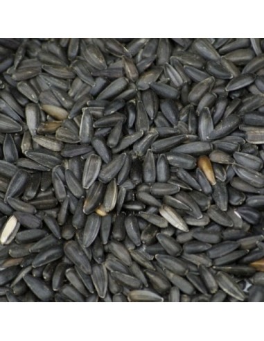 PIPAS NEGRAS 2,5 KG. PRODAC
