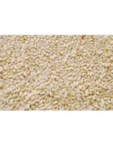 ALAZOR PRODAC 3.5 KG. BOLSA