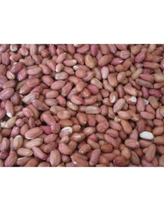 CACAHUETES PELADOS 4 KG.PRODAC