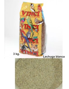 LECHUGA BLANCA PRODAC 3 KG.