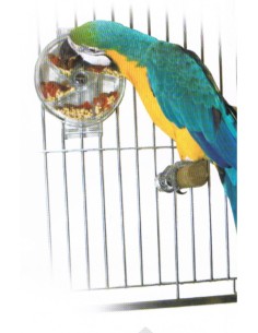 SUN PARROTS LA RUEDA INTERACTIVA