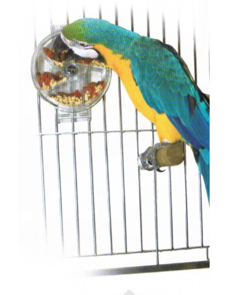 SUN PARROTS LA RUEDA INTERACTIVA