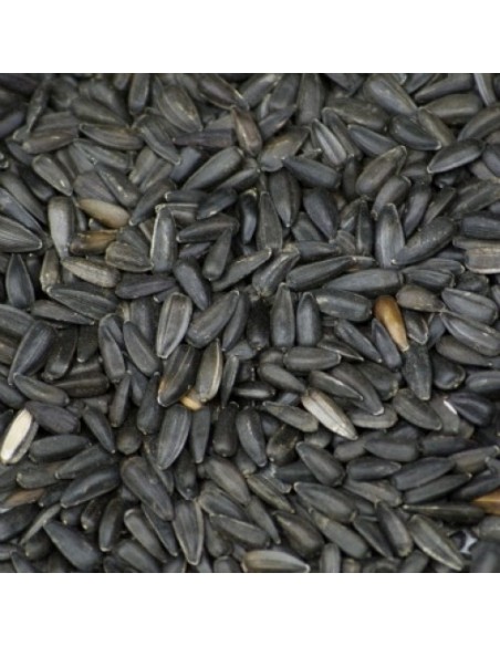 PIPAS NEGRAS 15 KG.PRODAC