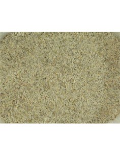 LECHUGA PAJAROS 25 KG.