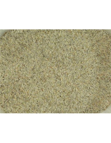 LECHUGA PAJAROS 25 KG.