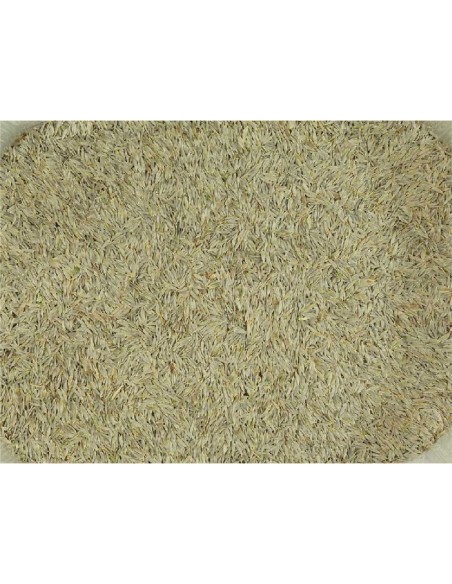 LECHUGA PAJAROS 25 KG.