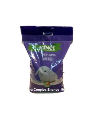 CONEJO ENANO VINCI 10 KG.