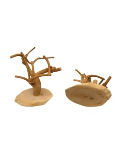 JAVA MINI Tree, Coffeewood Base-XS