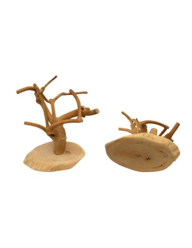 JAVA MINI Tree, Coffeewood Base-XS