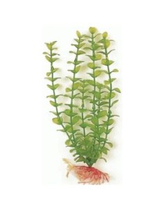 GREEN BACOPA 20 CM. PLANTA ACUARIO