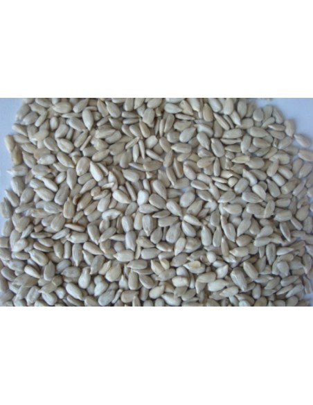 PIPAS PELADAS BAKERY 20 KG.