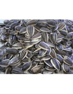 PIPAS GIRASOL USA 10 Kg.