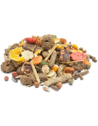 CONEJO CRISPY MUESLI 2.5KG. VERSELE-LAGA