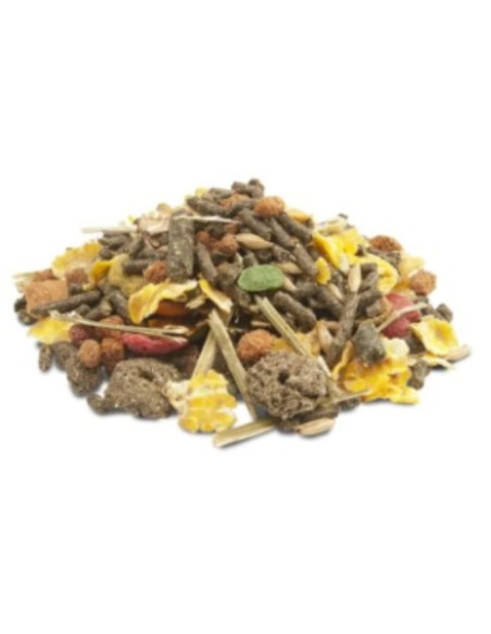 COBAYA CRISPY MUESLI 2.5 KG. VERSELE-LAGA