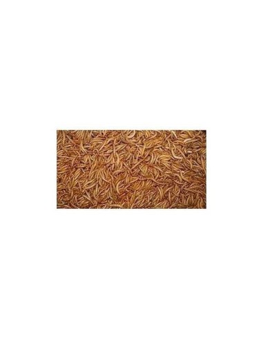 GUSANOS DE LA HARINA 150 GR.