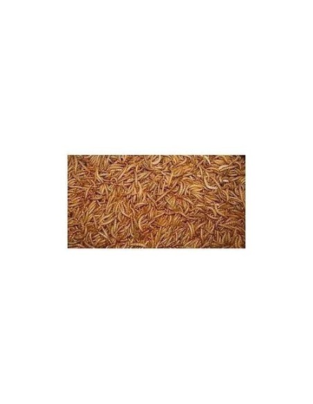 GUSANOS DE LA HARINA 150 GR.