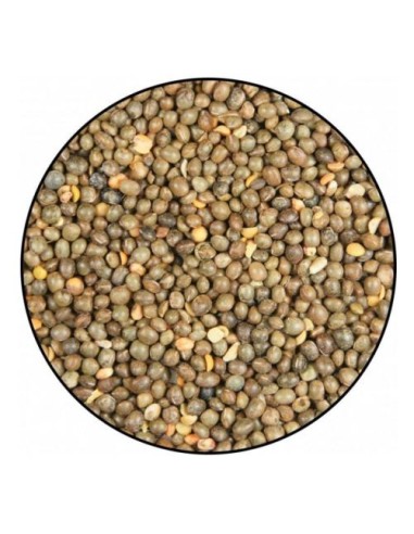 VEZA VINCI 25 KG.
