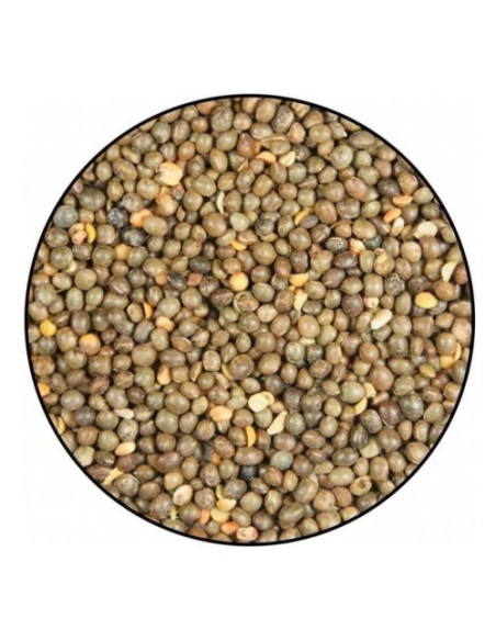 VEZA VINCI 25 KG.