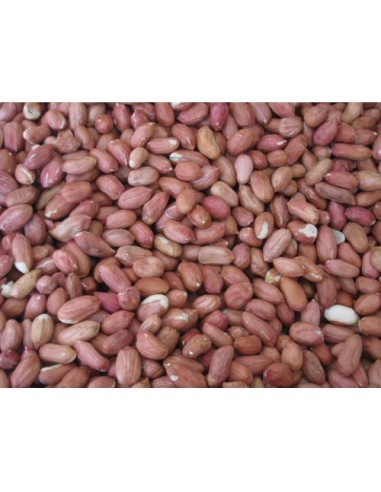 CACAHUETES PELADO USA 25 Kg.