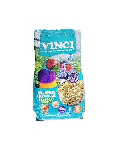 EXOTICOS VINCI 20 KG.