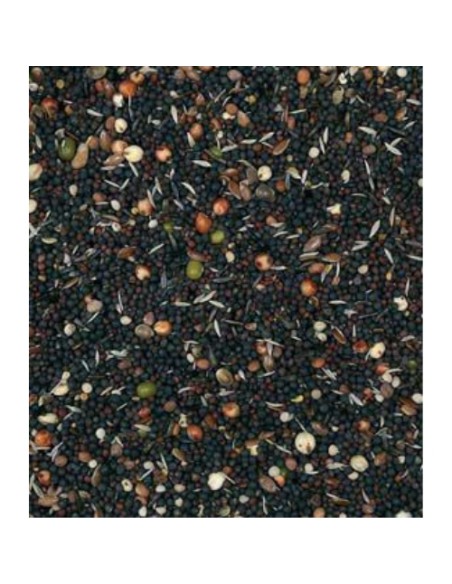 SEMILLAS GERMINAR VINCI 25 KG.