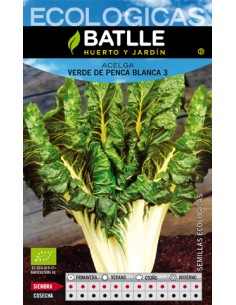 ACELGA VERDE BLANCA 3 PENCOSA 25 GR
