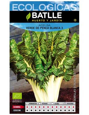 ACELGA VERDE BLANCA 3 PENCOSA 25 GR