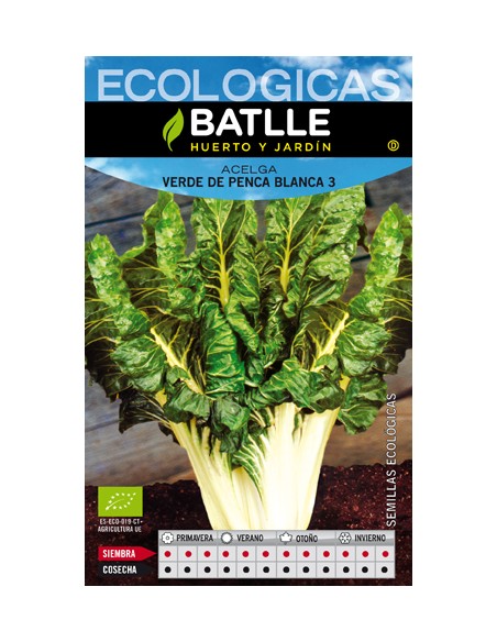 ACELGA VERDE BLANCA 3 PENCOSA 25 GR